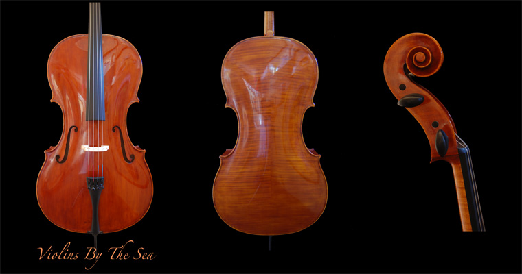 1719 Tecchler Cello