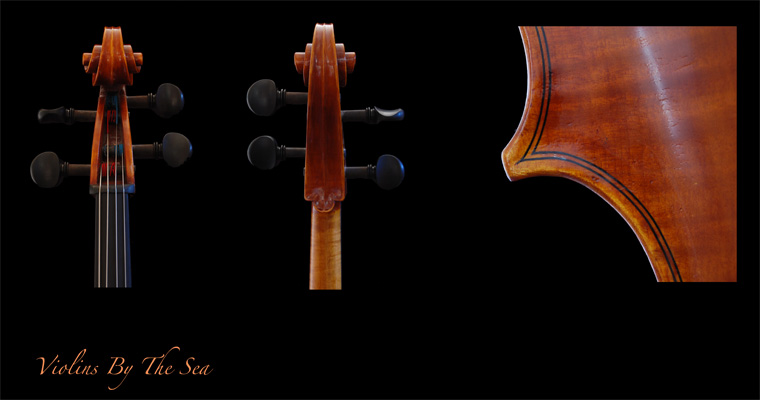 1719 Tecchler Cello, detail